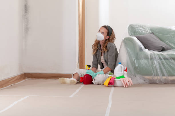 Reliable Mold Removal contractor in Union, OR by WQB Mold Removal